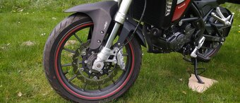 Benelli TRK 251 - 8