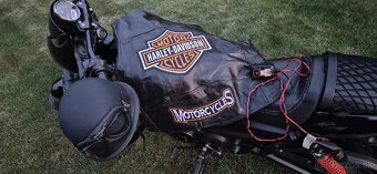Harley-Davidson street rod - 8