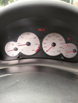 Peugeot 206 sw - 8