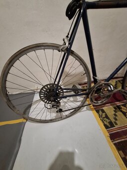 Favorit zavodnicka - 8