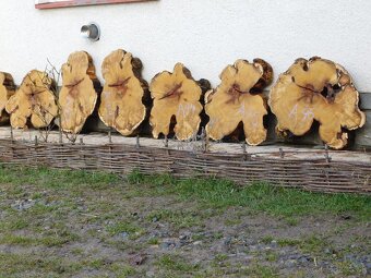 Koláče - orechové drevo, fošne - 8