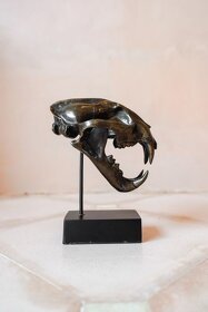 Vysoko kvalitná, bronzová odliata lebka snežného leoparda - 8