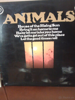 Predám LP glam rock, psychedelic, metal, - 8