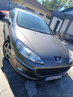 Peugeot 407 - 8
