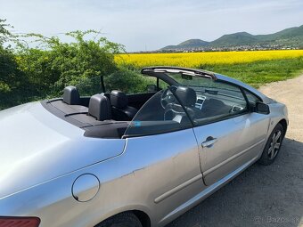 Peugeot 307 CC - 8