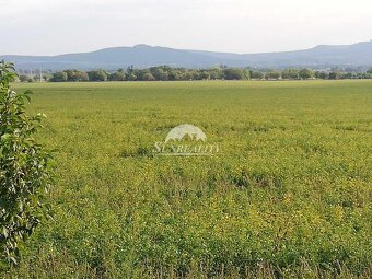 ZNÍŽENÁ CENA LEN U NÁS Predám - Viničný dom s vinohrad - 8