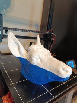 3d sken a 3d tlač - 8