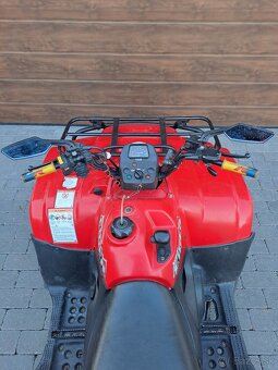 Suzuki Eiger 400 - 8