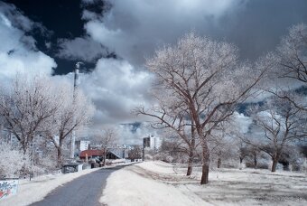 Nikon D80 infra - 8