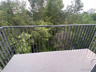 ZNÍŽENÁ CENA 2-izbový apartmán Nuppu s parkovaním - 8