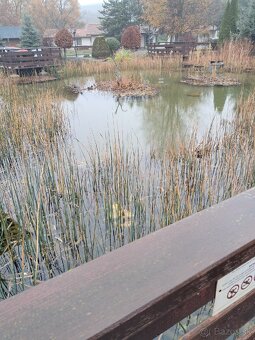 Predam bungalov v Tatralandii - 8