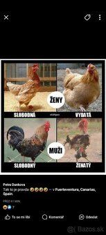 Vzácný exemplář z roku 1952 Retro MTZ Bělorus - 8