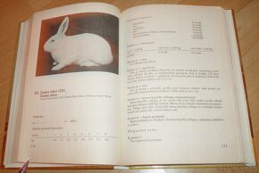 Vzorník plemen králíku - 8