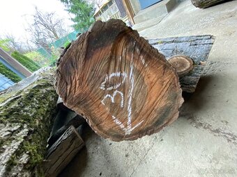 Orechové kmene, guľatina - 8