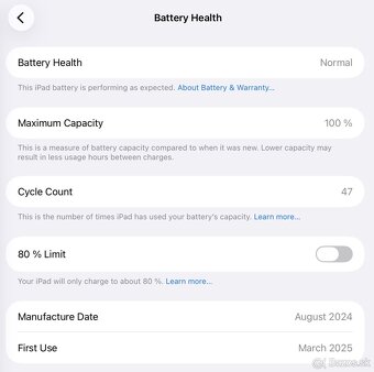 Apple iPad Pro M4 256 GB Cellular - 8