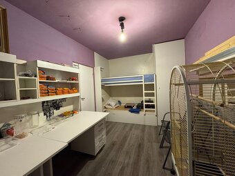 3-izbový byt na predaj, ul. Hradišská - Podbreziny, Liptovsk - 8