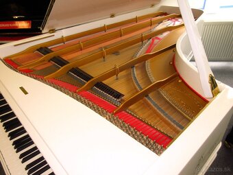jedinečný unikát Steinway & Sons z roku 1860 - 8