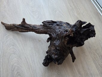 Koreň do akvária / terária - 8