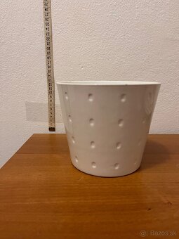 Kvetinče na predaj - 8