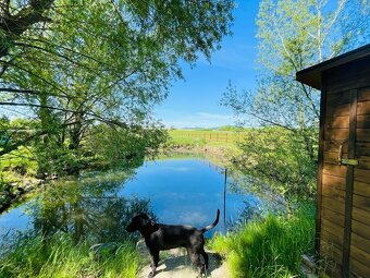 Pozemok s výhľadom na Karpaty, ktorý si ihneď zamilujete - 8