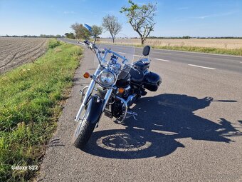 Kawasaki VN 900 Classic - 8