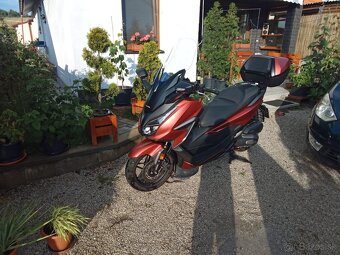 Honda FORZA 125 - 8