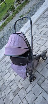 Kočík oyster s príslušenstvom a vajíčkom - 8