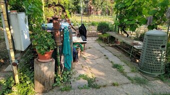 Záhrada s chatkou Šaľa - Veča - 8