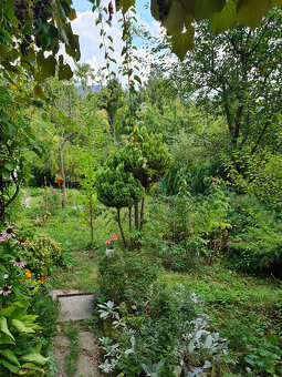 Záhrada s murovanou chatou s nádherným výhľadom - 8