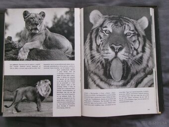 Veľký obrazový atlas zvierat - Václav Jan Staněk. - 8