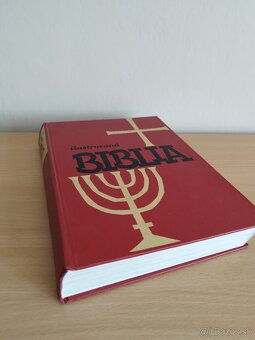 Ilustrovana Biblia. - 8