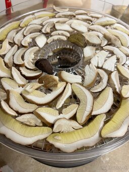 Hríby - darčekové balenie - 8