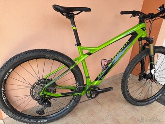 Predam Bergamont roxtar karbon - 8