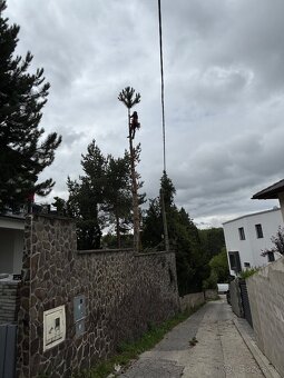 Kosenie/Strihanie/Údržba zelene/Pílenie /Drvenie - 8