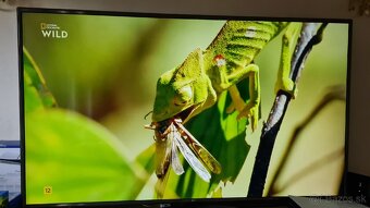 Predám TV LG 75UJ675V 4k 75" 190cm - 8