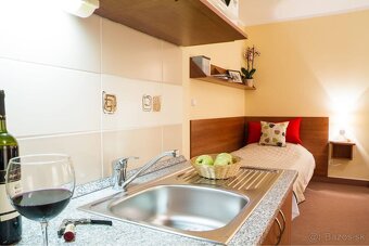 Prenajmeme 1-izbový apartmán v širšom centre BA - 8