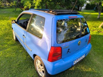 Lupo - 8
