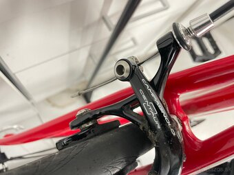 Specialized Termac full carbon 54” - 8
