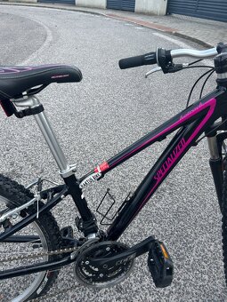 Bicykel Specialized - 8