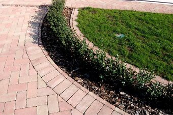 Zámková dlazba stara tehla - 8