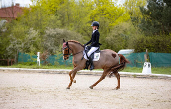 Pony do sportu - 8