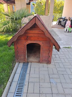 Psia búda s pelechom - 8