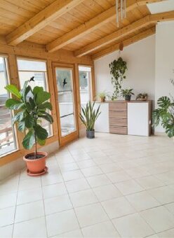 Dom pri Parndorfe s pozemkom 954 m², z Bratislavy 15 min - 8