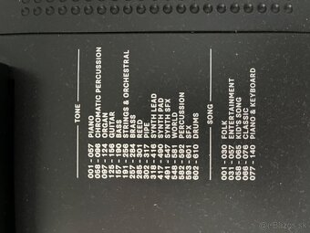 Keyboard, Soundking - 8