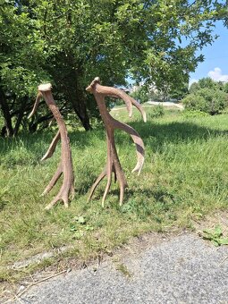Zhody,parožie, - 8