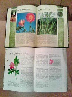 Knihy pre zdravie - liečivé byliny - 8