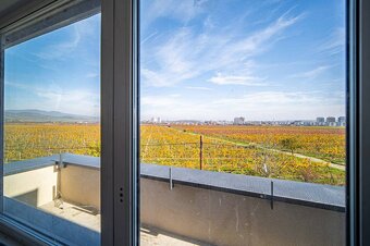 TOREA - ZELENÉ NIVY - 2i BYT S TERASOU V BYT. DOME C - PEZIN - 8