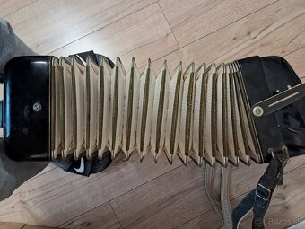 Akordeón Delicia - 8