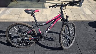 CTM Rocky 2.0 24" - 8