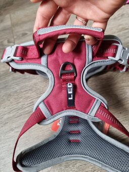 Postroj pre psa - velkost M - 8